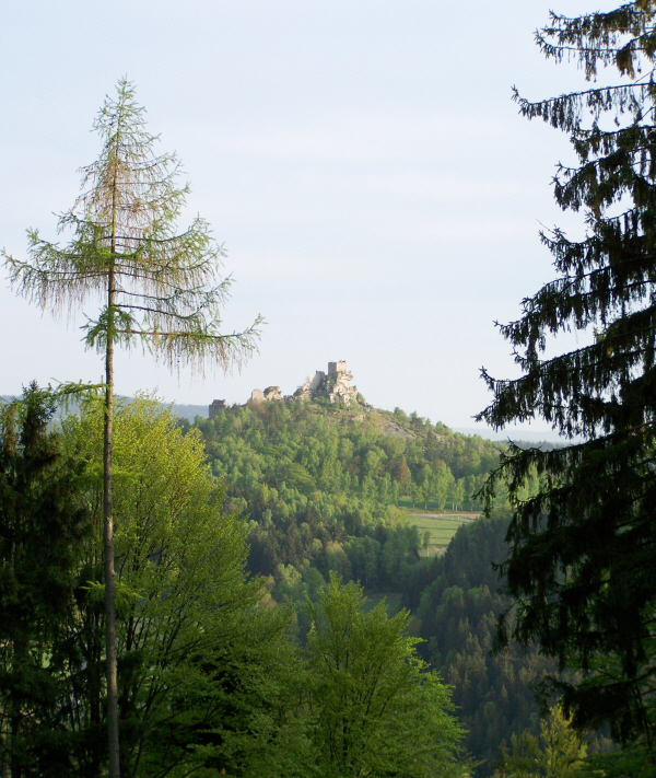 Burgblick