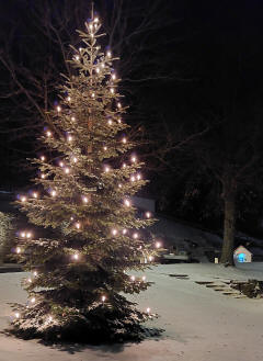 Weihnachtsbaum und Krippe 2021