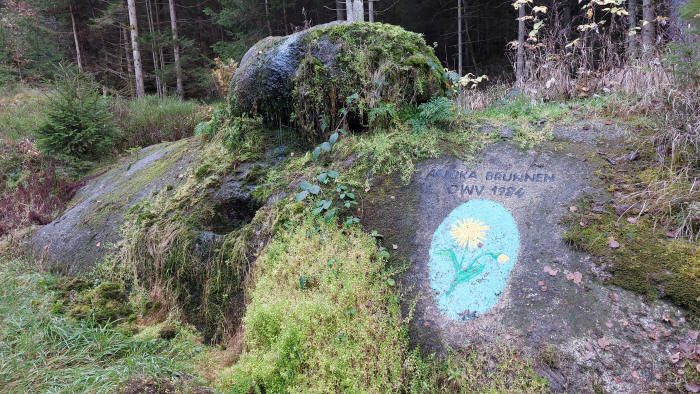 Wanderung zum Seefelsen