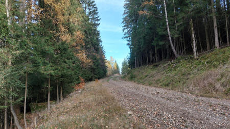 Wanderung zum Seefelsen